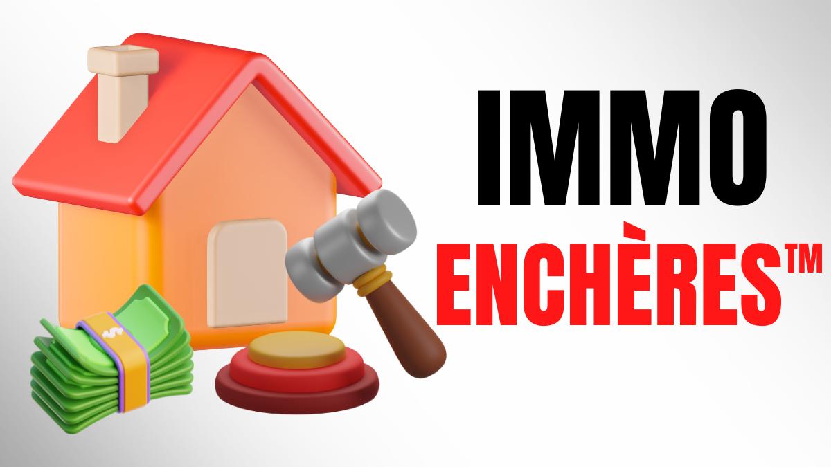 Immo encheres formation